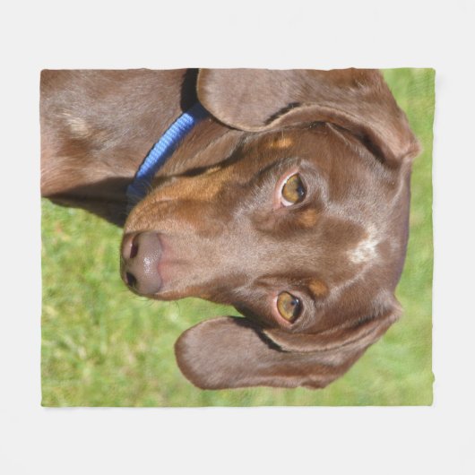 Couverture Polaire Dachshund (Devant (Horizontal))