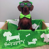 Couverture Polaire Dachshund Fleece Blanket Green Personnalisé