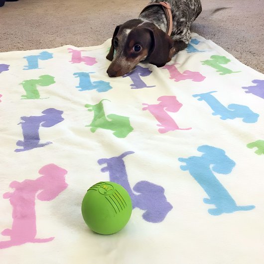 Couverture Polaire Dachshund rose violet bleu bleu vert pastels couve