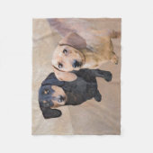 Couverture Polaire Dachshund (Smooth) Peinture - Art Chien original (Devant)