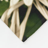 Couverture Polaire Daisy Dream Fleece Bliss (Coin)