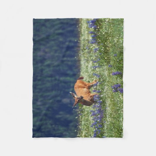 Couverture Polaire Dans le pré (Devant)