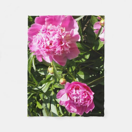 Couverture Polaire Dark rose peonies (Devant)