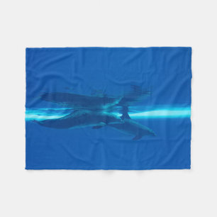 Couverture Polaire Dauphins et réflexions