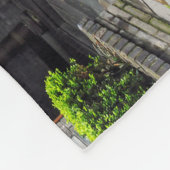 Couverture polaire de l'architecture orientale (Coin)