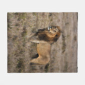 Couverture polaire de Lion d'Afrique (Devant (Horizontal))