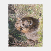 Couverture polaire de lion mâle (Devant)