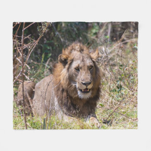 Couverture polaire de lion mâle