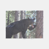 Couverture polaire de l'ours noir (Devant (Horizontal))