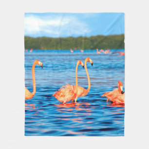 Couverture Polaire Des hordes de beaux flamants roses dans les Celest