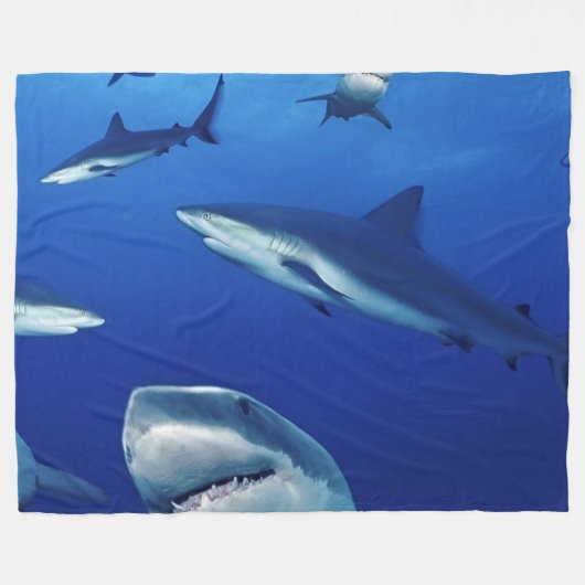 COUVERTURE POLAIRE DES REQUINS PARTOUT (Devant (Horizontal))