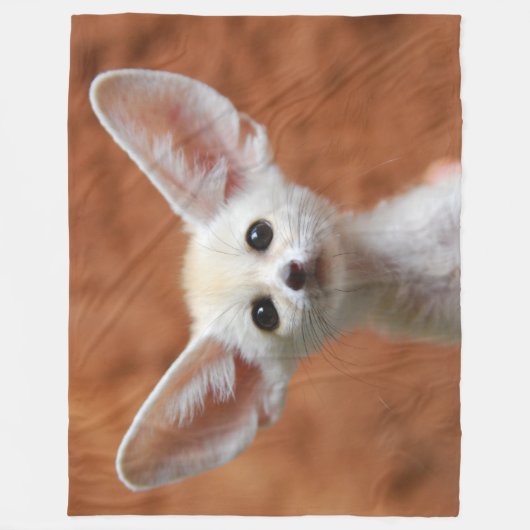 COUVERTURE POLAIRE DÉSERT FOX (Devant)