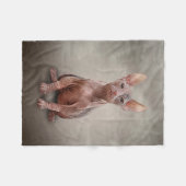 Couverture Polaire Dessin Sphynx kitten (Devant (Horizontal))