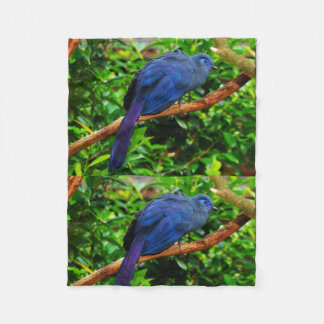 Couverture Polaire Destins bleus de destin d'anniversaires d'oiseau