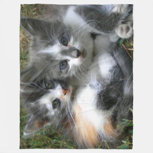 Couverture Polaire Deux chatons (Devant)