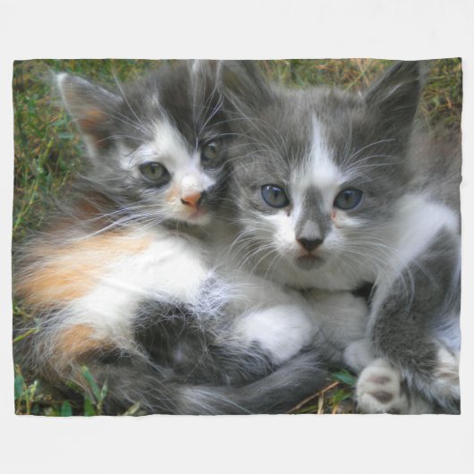 Couverture Polaire Deux chatons (Devant (Horizontal))
