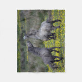 Couverture Polaire Deux chevaux Buck and Play (Devant)