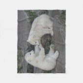 Couverture Polaire Deux Cubes Ours Polaires (Devant)