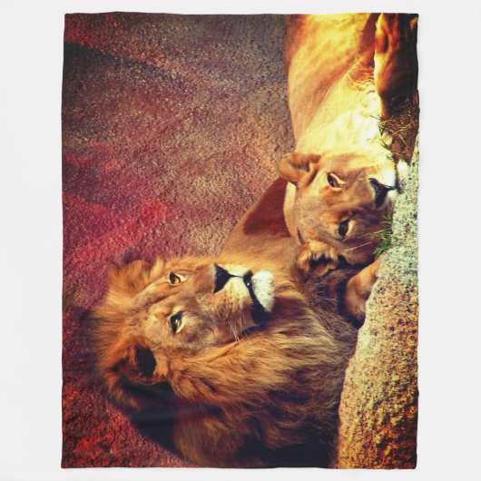 Couverture Polaire Deux Lions (Devant)