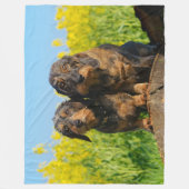Couverture Polaire Deux mignons Chiens Dachshund Dackel Portrait Phot (Devant)