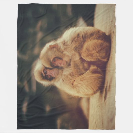 COUVERTURE POLAIRE DEUX SINGES (Devant)