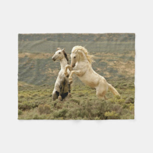 Couverture Polaire Deux Stallions sauvages combattent
