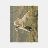 Couverture Polaire Deux Stallions sauvages combattent (Devant)