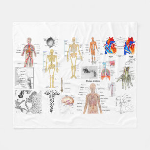 Couverture Polaire Diagrammes Médicale d'anatomie humaine