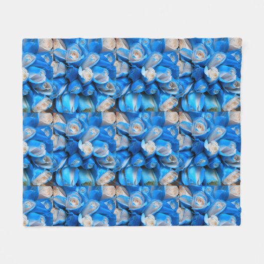 Couverture Polaire Diemudis (Devant (Horizontal))