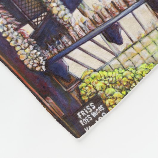 Couverture Polaire Dimensions de curiosité (Coin)