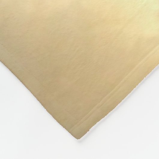 Couverture Polaire Dinosaure (Coin)