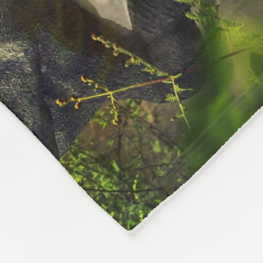 Couverture Polaire Dinosaure (Coin)