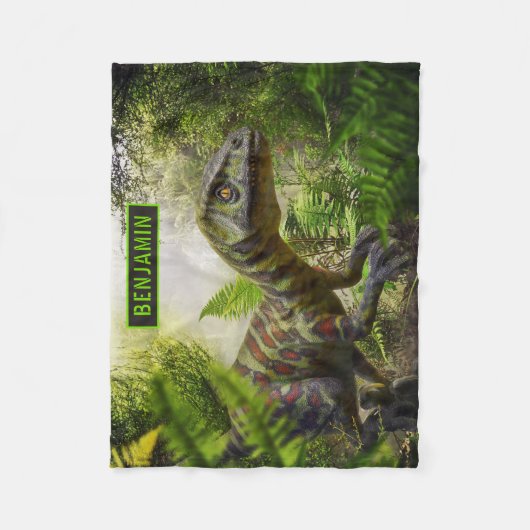 Couverture Polaire Dinosaure (Devant)