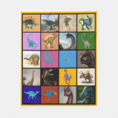 Couverture Polaire Dinosaures (Devant)