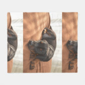 Couverture Polaire doberman-pinscher-chiot (Devant (Horizontal))