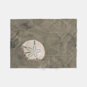 Couverture Polaire Dollar de sable (Echinarachnius parma)
