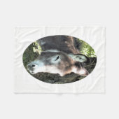 COUVERTURE POLAIRE DONKEY (Devant (Horizontal))