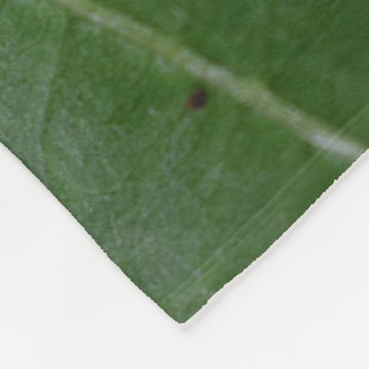 Couverture Polaire Dorcus parallelipipedus, le moindre dendroctone du (Coin)