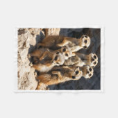 Couverture Polaire Doux Famille de Suricates Faune Écharpe Bébé Fleec (Devant (Horizontal))