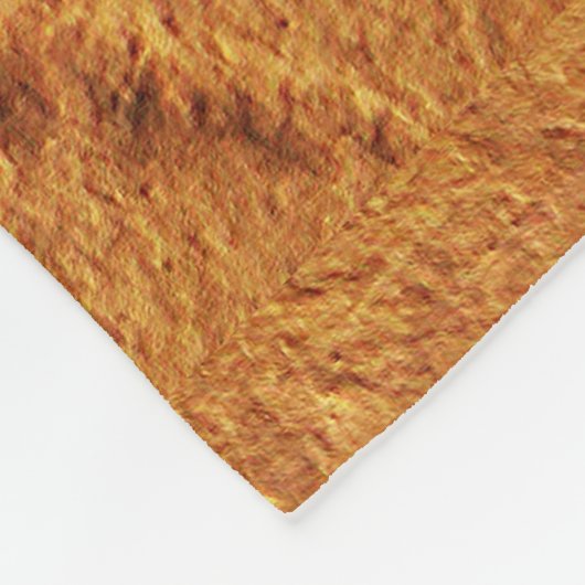 Couverture Polaire Dragonfly fossile (Coin)