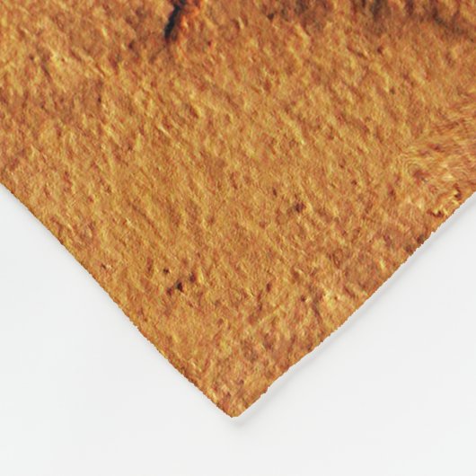 Couverture Polaire Dragonfly fossile (Coin)