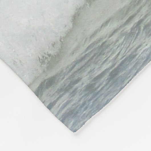 Couverture Polaire Dragons Steampunk & Dauphins Panneau Mur Art (Coin)