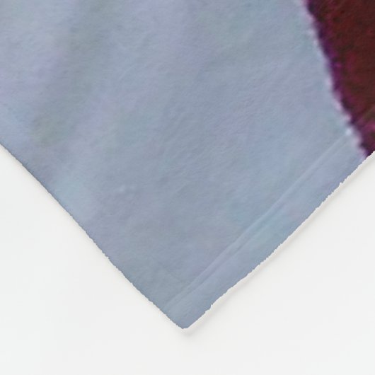 COUVERTURE POLAIRE DRAPEAU AMÉRICAIN (Coin)