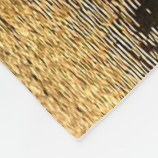 COUVERTURE POLAIRE DUBLIN IRLANDE (Coin)