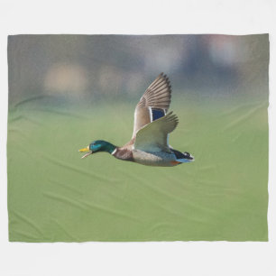 Couverture Polaire DUCK en vol