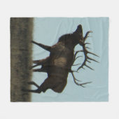 Couverture Polaire E14 Chaussures en silhouette d'Elc taureau sur l'h (Devant (Horizontal))