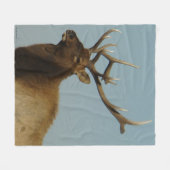 Couverture Polaire E42 Tête et épaules d'élans (Devant (Horizontal))