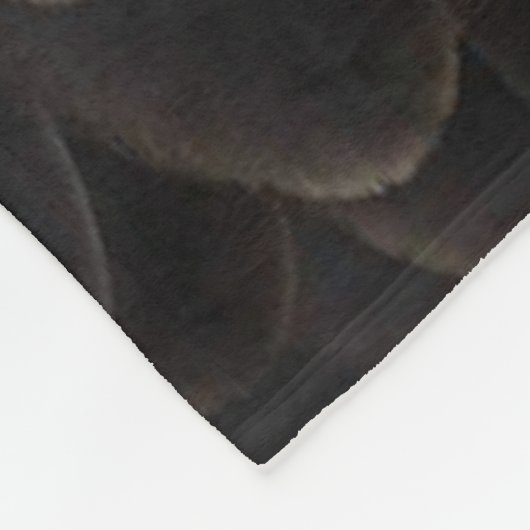 COUVERTURE POLAIRE EAGLE (Coin)