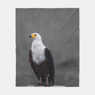 Couverture Polaire Eagle Minimaliste Sélective Photographie couleur