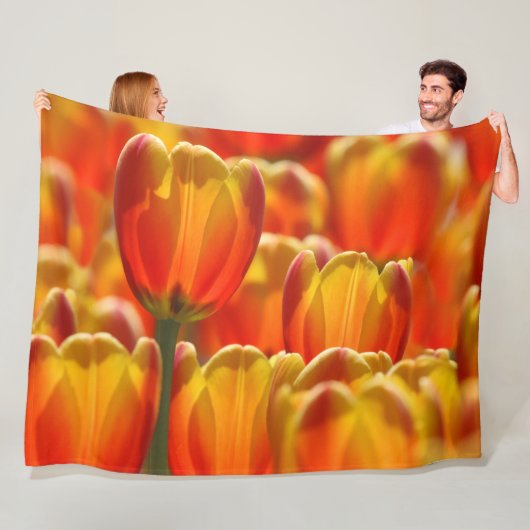 COUVERTURE POLAIRE ÉCLAIRAGE DES TULIPS (En situation)